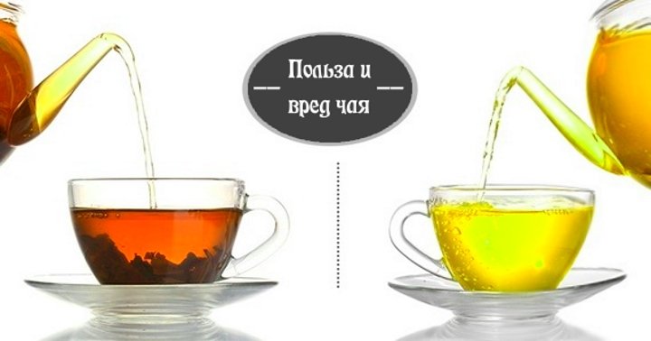 Полезные свойства черного и зеленого чая