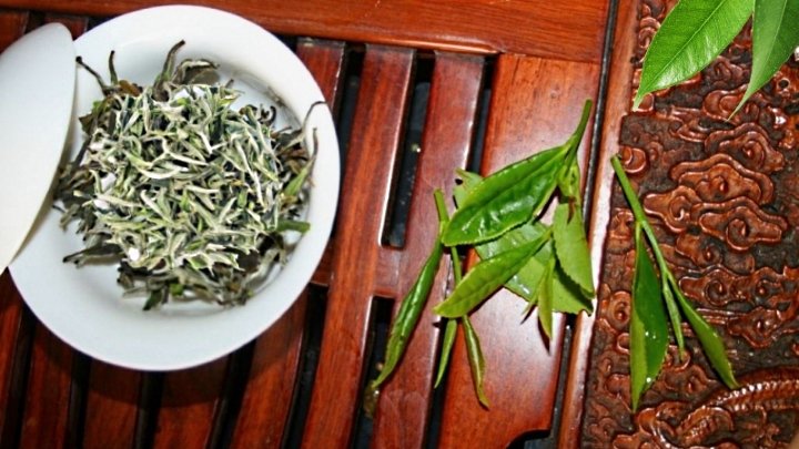 «Белый Пион» (Бай Му Дань) – Китайский белый чай